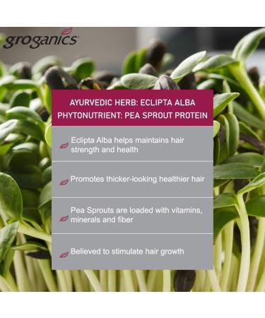 Groganics Molecuizing Root Lifter 118 ml - Buy Online on GoSupps.com