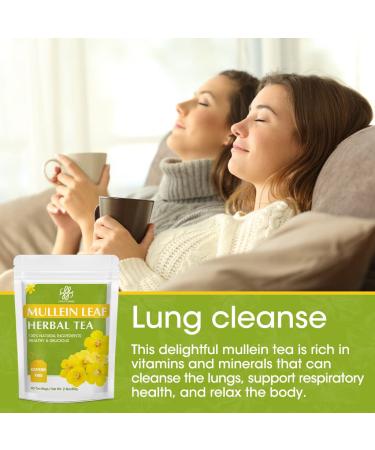 Mullein Leaf Tea - Respiratory and Lung Cleanse Herbal Tea | 40 Tea Bags, Caffeine-Free - Buy Online on GoSupps.com