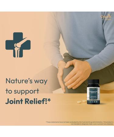 ORGANIC SPREE Punarnavadi Guggulu 120 Tablets - Supports Kidney Function* - Ayurvedic Formulation - Certified and Vegetarian (1) - Buy Online on GoSupps.com