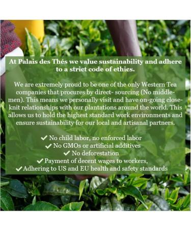 Palais des Th s FLEUR DE GEISHA Th Vert Parfum M lange Floral et Fruit Parfum Doux et Gourmand Boite M tal 100g - Buy Online on GoSupps.com