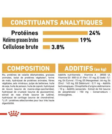 Pasteur Adult Royal Royal Canin German 24 11kg 11000 g - Buy Online on GoSupps.com