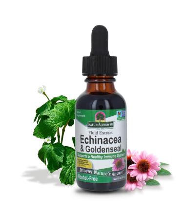 Nature's Answer Echinacea & Goldenseal Liquid Extract Drops Alcohol Free 1 Ounce | Promotes Overall Wellness | Natural Immune Booster | Inflammatory Reducer