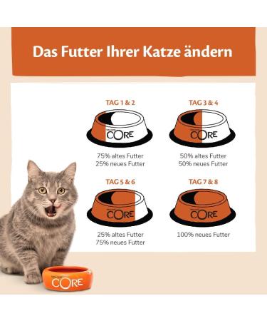 Wellness CORE Sterilised Ocean Cat Food - Grain-Free High Meat Salmon & Tuna 4 kg for Sterilized Cats - Buy Online on GoSupps.com