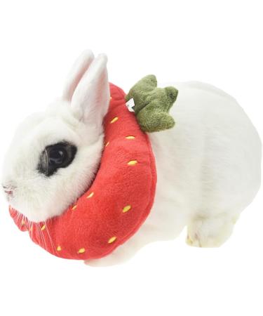 Buy Fladorepet Rabbit Protection Cone Elizabethan Neck Collars & Hasentoast Avocado Costume for Small Pets - Perfect for Recovery & Fun! - Buy Online on GoSupps.com