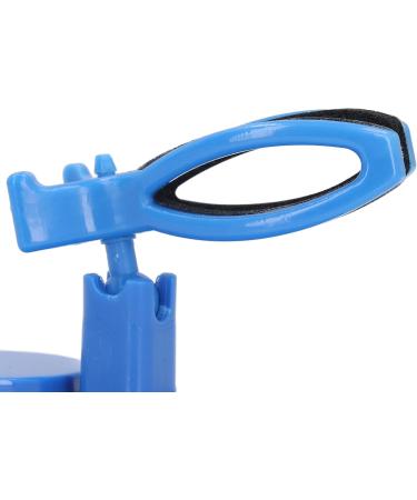 Nail Polish Bottle Holder Improve Efficiency Optimal Angle Spill-Proof Nail Polish Rack Stable Support for Nail Art Supply (Blue) - Buy Online on GoSupps.com