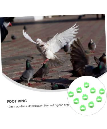 Amosfun 200 Pcs Pigeon Anklet Baby Things Baby Supplies Bird Ring Foot Ring for Pigeon to Open Xuan Feng 1.3X1.3CMx2pcs Greenx2pcs - Buy Online on GoSupps.com