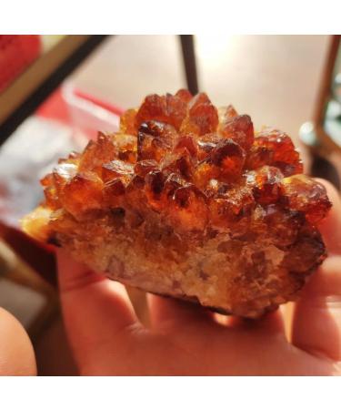 1pc Natural Raw Citrine Quartz Geode Yellow Crystal Cluster Crystals Rough Specimen Stone Crafts Home Decor JIZTGEDM (Size : 50-120g) - Buy Online on GoSupps.com