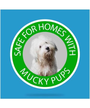 Flash for Pet Lovers Floor Cleaner Removes Pet Odour & Messes Multi-Purpose Liquid Cleaner with a Touch of Febreze Freshness 1L + Our Gift for You - Organza Bag Size 9x7x0.1cm - Buy Online on GoSupps.com