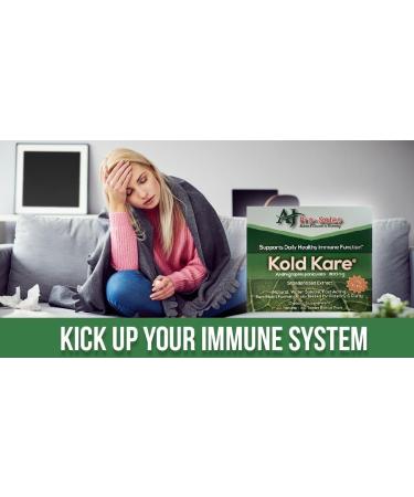 Kold Kare Daily Immune Health Function 40 Count Pack of 2 - Effective Against Cold Sinus Allergy Symptoms | Non-Habit Forming | No Side Effects - Buy Online on GoSupps.com