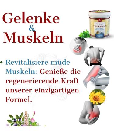 Swissmedicus Horse Balm with 25 Herbs - Extra-Strong Cooling Relief for Muscles Joints & Back - 500ml (1 Pack) - Buy Online on GoSupps.com