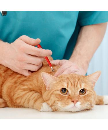 Kasimir Tick Removal Tool with Light Loops - Safe & Reliable Alternative to Tick Tweezers for All Sizes - Buy Online on GoSupps.com