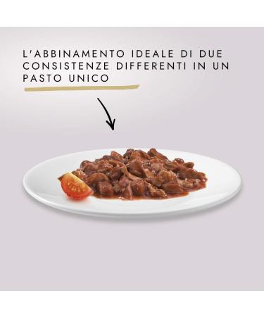 Purina Gourmet Gold Double Pleasure Wet Cat Food - Beef & Chicken 24 Cans (85g) - Premium Cat Nutrition - Buy Online on GoSupps.com