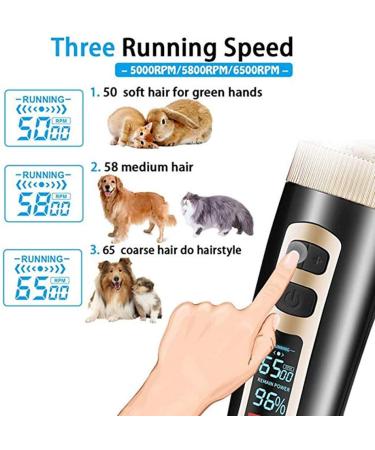 Kiizon Rechargeable Cordless Dog Grooming Clippers 3-Speed Kit for Cats - LED Screen, Intelligent Protection - Buy Online on GoSupps.com