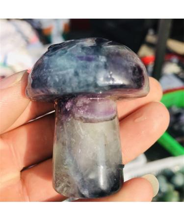 Natural Crystal Rough Stones Natural Green Purple Fluorite Crystal Mushroom Shaped Polished Stone Decor Natural Stones and Crystals Natural 1PC - Buy Online on GoSupps.com
