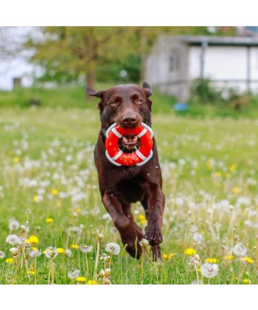 Nobby TPR Lifebuoy with Rope - 15 cm - Durable Floating Safety Device for Pets - International Shipping Available - Buy Online on GoSupps.com