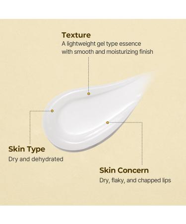 Torriden SOLID In Ceramide Lip Essence - 2 Pack Moisturizing Lip Balms with Organic Jojoba Oil & Ceramides for Glowy Plumped Lips - Korean Skin Care - Buy Online on GoSupps.com