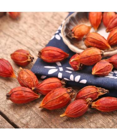 100% Dried Gardenia Fruit 3.52oz/100g de gard nia Le connaisseur Gardenia sec Gardenia Tea tisane naturelle sans additifs sans soufre herbes chinoises | Cape jasmin - Buy Online on GoSupps.com