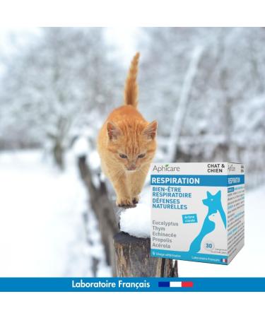 APHICARE - Respiration - 30 tablets - Respiratory comfort - Eucalyptus - Thyme - Echinacea - Food supplement for dogs and cats - Made in France - Buy Online on GoSupps.com