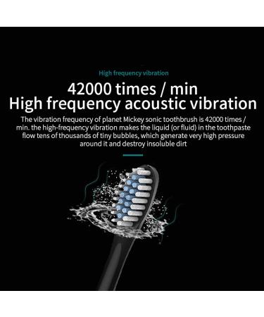 Buy IPX7 Electric Toothbrush - Waterproof Rechargeable 6 Modes 4 Heads - Best Automatic Black Toothbrush for Ultimate Oral Care - Buy Online on GoSupps.com