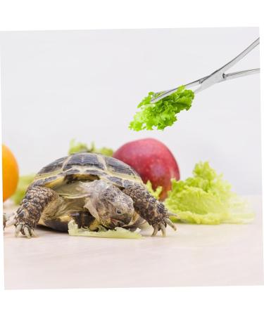 Kisangel Reptile Feeding Clip Terrarium Supplies Snake Tank Accessories Stainless Steel Silver - Buy Online on GoSupps.com