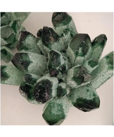 Natural Crystal Rough Crystal 750-850g 1pc Natural Green Phantom Quartz Crystal Cluster Gemstone Geode Adornment Suitable for Home Office Decoration - Buy Online on GoSupps.com