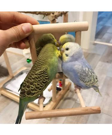 HANZE Bird Mirror and Swing Set for Parrots - Wooden Toy for Macaws, Lovebirds, Cockatiels - 2 Pack - Buy Online on GoSupps.com