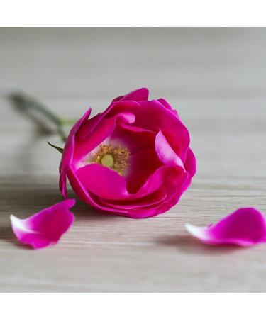 Layered Fragrances First Kiss Elixir Extrait de Parfum Delina La Rosee - Long-Lasting Perfume for Women - Turkish Rose & Floral Scent - 10ml / 0.34oz 0.34 Fl Oz (Pack of 1) - Buy Online on GoSupps.com