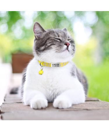 Tagme 2 Pack Cat Neck Band with Safety Clasp & Bell - Personalized Name & Phone Number - Yellow Standard Size 18-31cm - Ideal for International Shipping - Buy Online on GoSupps.com