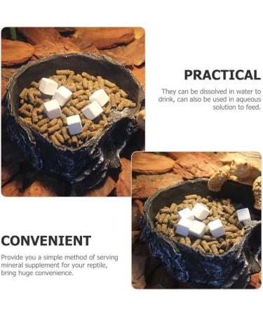 SEWACC 6pcs Reptile Blocks Fish Tank Substrate Natural Minerals Supplement Cubes for Turtles Reptiles - Buy Online on GoSupps.com