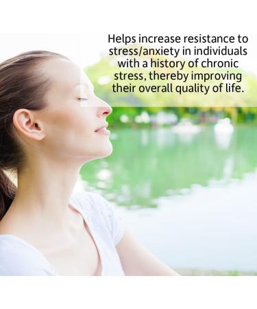 Garden of Life Dr. Formulated Probiotics Mood+ | Manages Digestive Health & Symptoms of Chronic Stress | 50 Billion CFU + 16 Probiotic Strains | Includes Organic Ashwagandha and Blueberries - Buy Online on GoSupps.com