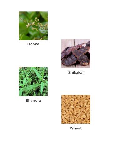 Buy Vegetal Hairwell (25 Gm X 4) - Nourishing Hair Care for Healthy Hair | International Shipping Available - Buy Online on GoSupps.com