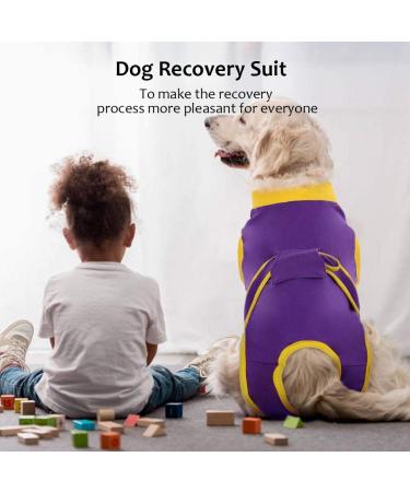 Kuoser Dog Body Suit for Post-Op Recovery - Breathable Leakage Protection & Anti-Licking Design - Purple M (1 Pack) - Buy Online on GoSupps.com