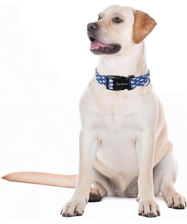 Unique Style Paws Blauhai Dog Collar | Halison College Joundries | Wide Fly Chain for Small Medium & Large Dogs - Perfect Training Gifts - Buy Online on GoSupps.com