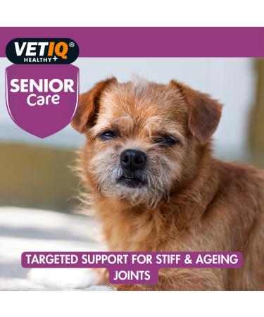 VetIQ Senior Care Supplement 45 Tablets (Pack of 1) - Buy Online on GoSupps.com