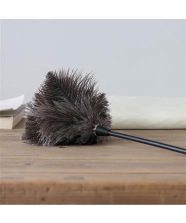 2Pack Feather Duster Ostrich Duster with Long Handle Brush Electrostatic Dust Household Cleaning Accessories Cleaning Long Handle Cleaning Brushes for Household Use - Buy Online on GoSupps.com