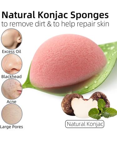 Buy Dolovemk Konjac Sponge 6-Pack | Bamboo Activated Carbon Reusable Face Sponge for Deep Cleaning & Peeling | Eco-Friendly Beauty Sponge in 6 Colors - Buy Online on GoSupps.com