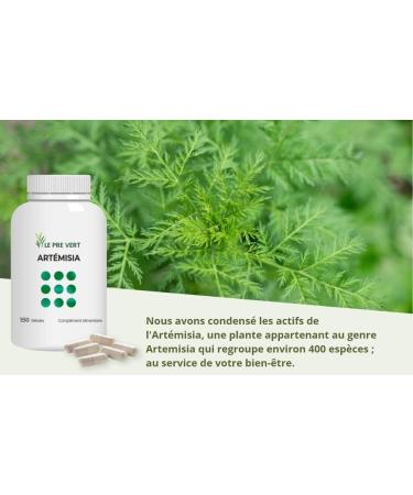 Artemisia Vulgaris - 150 Vegetable Capsules - 100% Pure Artemisia - Made in France Le Pr Vert - Buy Online on GoSupps.com