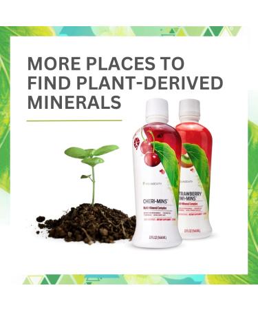 Youngevity Plant Derived Minerals Multi-Mineral Complex | Liquid Colloidal Form | 2 Bottles 32 Fl Oz (Pack of 2) - Made from Humic Shale - Buy Online on GoSupps.com