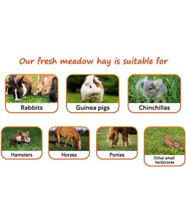 Shorefields Small Compact Meadow Hay Bagged 10kg - Buy Online on GoSupps.com