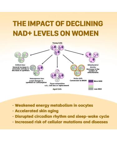 AIDEVI NMN 18000 480mg - 99% Pure Nicotinamide Mononucleotide Supplement with Resveratrol Nobel Laureate Developed Third-Party Tested Increased NAD+ Levels Healthy Aging 60-Day Supply 3pcs - Buy Online on GoSupps.com
