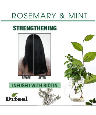 Difeel Rosemary Mint Strengthening Shampoo with Biotin 12 oz. | Natural Rosemary Oil, Sulfate-Free, Promotes Hair Growth - Buy Online on GoSupps.com