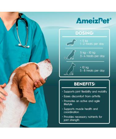 AmeizPet Dog Food Dog Biscuits Hip and Joint Supplements for Dogs Joint Chew Treats 75 g (2.6 oz) - Buy Online on GoSupps.com