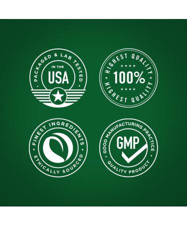 Piping Rock Bacopa Monnieri Supplement | 180 Capsules | Herbal Extract |Non-GMO & Gluten Free - Buy Online on GoSupps.com