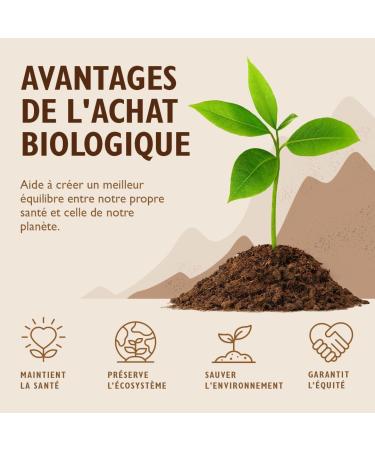 M lange de poudre de super fruits biologiques avec a a baobab ac rola et lucuma soutient l'immunit et la sant de la peau r duit la fatigue vitamine C naturelle 150g par Sevenhills Wholefoods - Buy Online on GoSupps.com