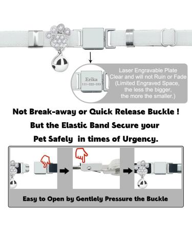 Personalized White Cat Collar with Name & Phone Number - Engraved Elastic Cat Collar with Bell | International Shipping - Buy Online on GoSupps.com