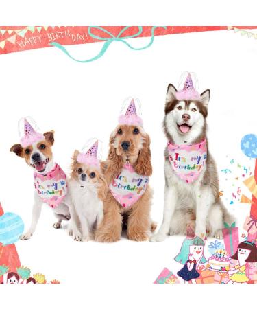 Dog Birthday Bandana Set with Hat and Squeaky Cake Toy - Perfect Party Supplies Gift for Small, Medium, Large Dogs - Pink Cream Cake Design - Buy Online on GoSupps.com