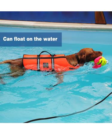 Vivifying 20FT Floating Long Dog Lead for Outdoor Training - 6m Black - Buy Online on GoSupps.com
