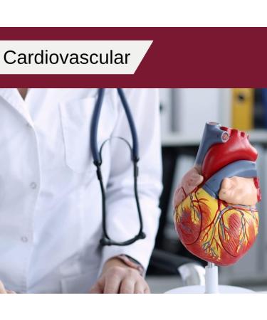 Biospec Nutritionals Glucose-IR Supplement - Cinnamon Extract, Chromium, Berberine and Biotin - 120 Capsules - Buy Online on GoSupps.com