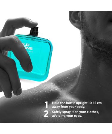 Wild Stone Edge Spray Perfume Combo for Men Pack of 2 (50ml each) - Buy Online on GoSupps.com