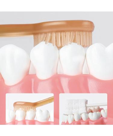 2-Pack Silicone Toothbrush Set for Babies 0-18 Months | Soft Bristles & Tongue Cleaner | Gentle Dental Care - Buy Online on GoSupps.com